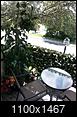I'm Starting a Vegetable Garden On My Balcony-20140705_150658.jpg