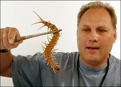 man holding centipede