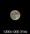 Look at the moon!-imgp7808.jpg