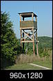 Tower ideas? Building an observation/lookout tower using telephone poles?-mvc-779f.jpg