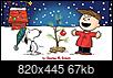 Artificial Christmas Trees you have purchased-charlie-brown-xmas-tree.jpg
