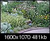 Tulsa residential gardens....show off your garden!-susans-garden-012.jpg