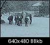 UK Residents - Loving the Snow?-p060110_15.20.jpg