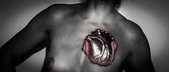 Heartbeat Automatik