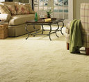 Carpet Clean - Mills Technique