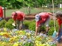 Economy Commercial Landscaping Services Inc.