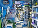 Dolphin pool & spa supply