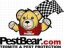 Pest Bear