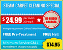 APEX Carpet Cleaning