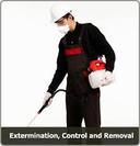 First Solution Pest Control
