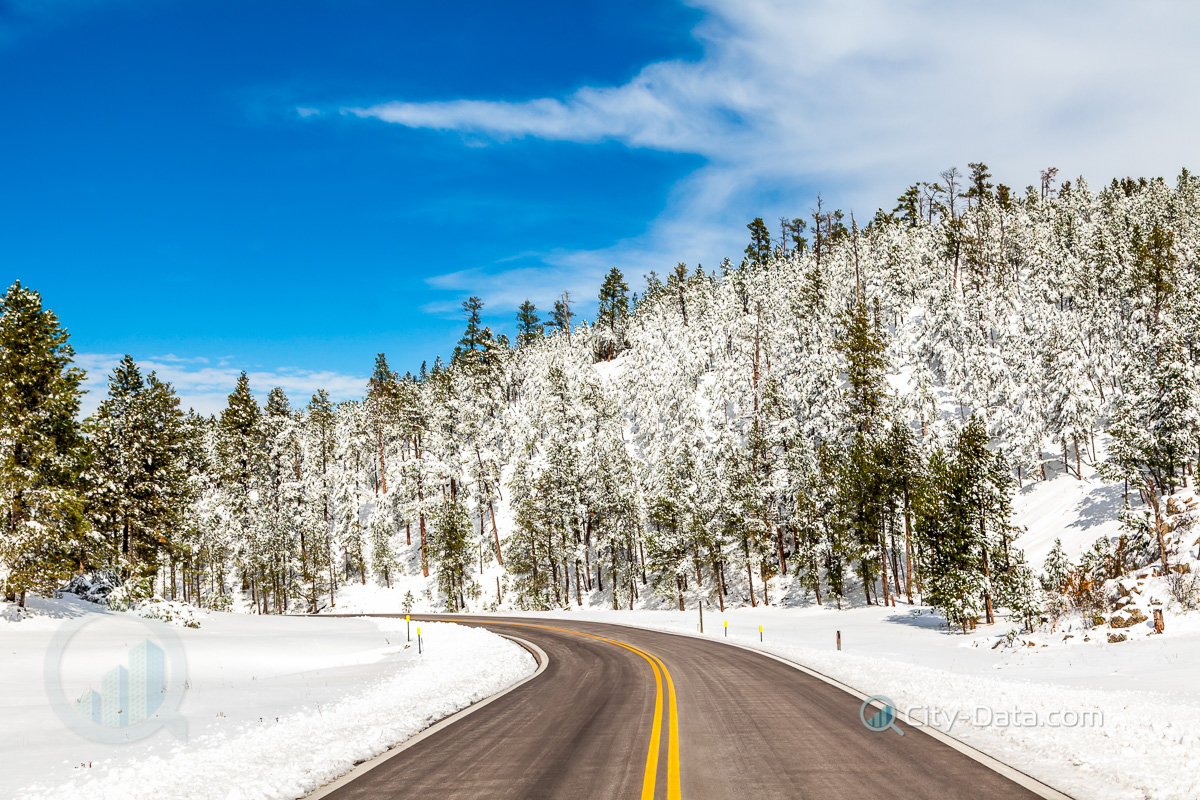 Winter road in snowy forest