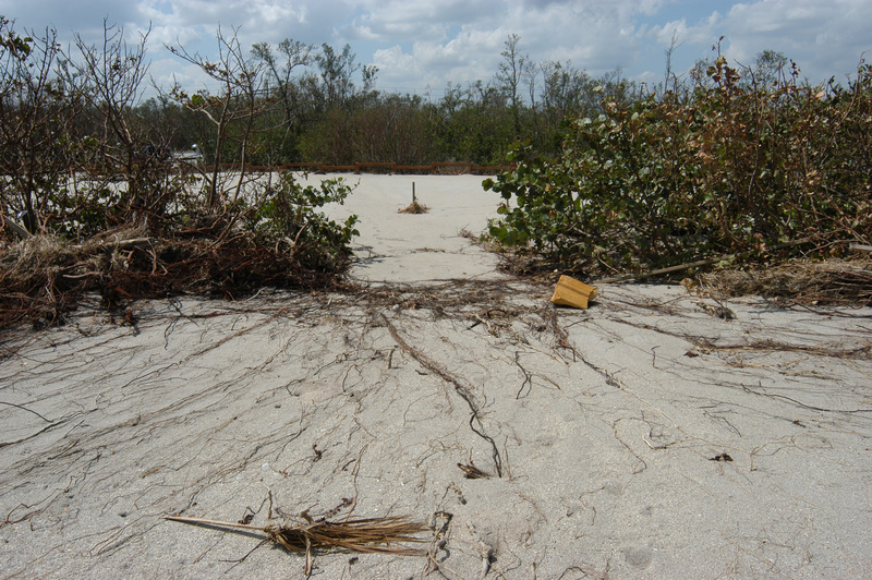 Hutchinson Island: Florida Hurricane Jeanne (DR-1561)