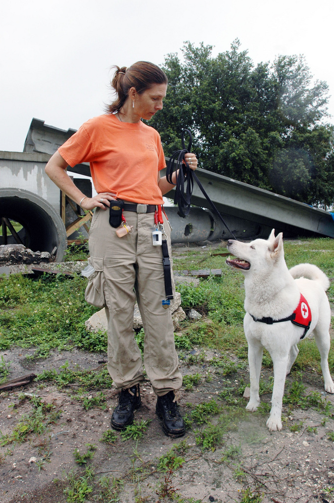 Orlando: Debbie Walters, a volunteer disaster worker, prepares to train...