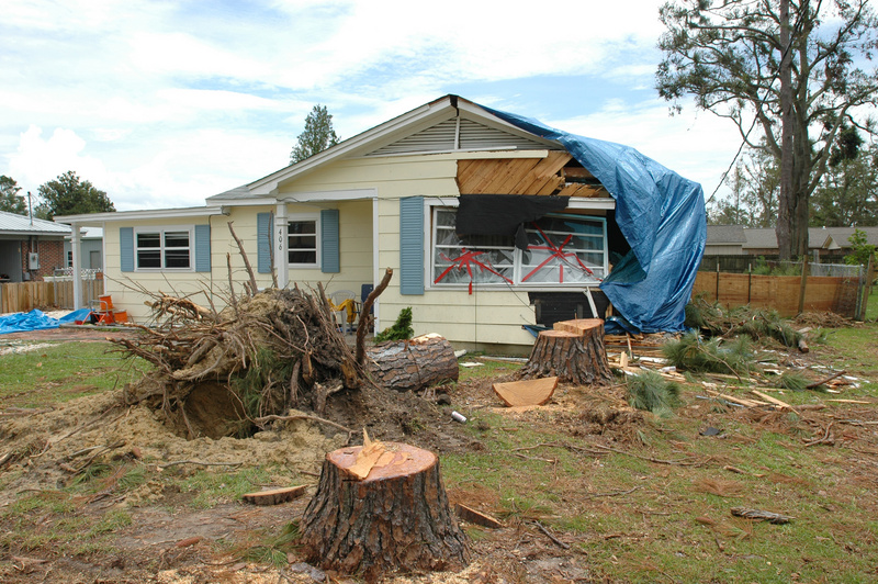 Atmore: Alabama Hurricane Dennis (DR-1593)
