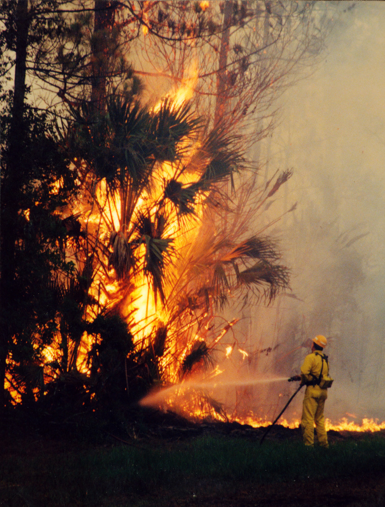 Florida Florida Extreme Fire Hazard (DR-1223)