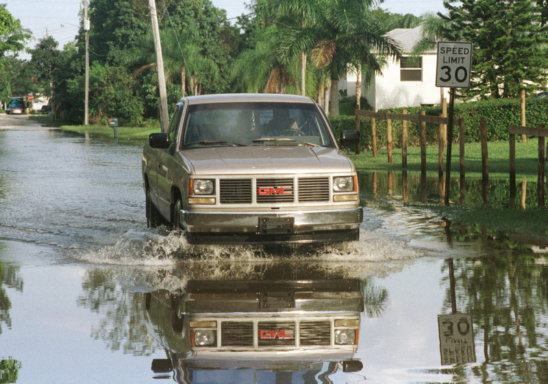 Davie: Florida Hurricane Irene (DR-1306)
