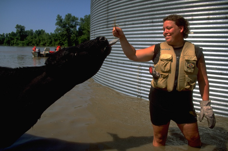 Missouri Flooding, Severe Storm (DR-995)
