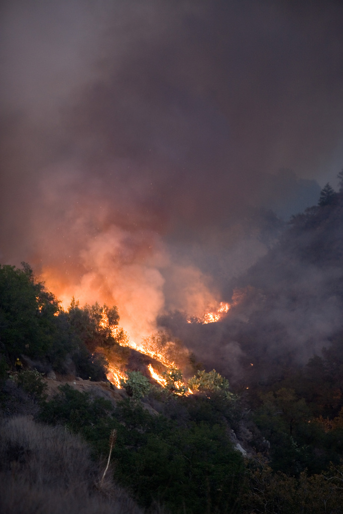 San Diego: California Wildfires (DR-1731)