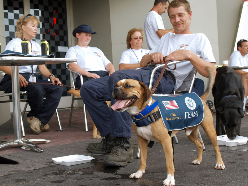 Atlanta: Timothy Lombardi, and Buster, of FEMA&#39;s Urban Search and...