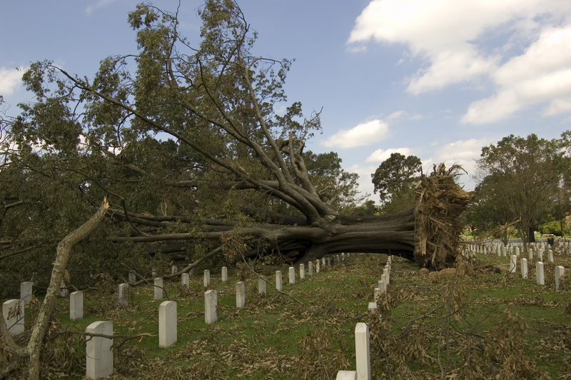 Baton Rouge: Louisiana Hurricane Gustav (DR-1786)