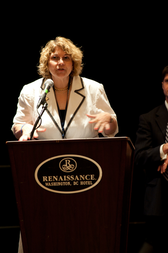 Washington: FEMA&#39;s Marcie Roth tells the participants at the National...