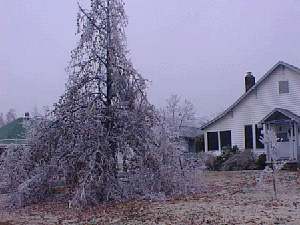Wilburton: Oklahoma Snow Storm (EM-3158)