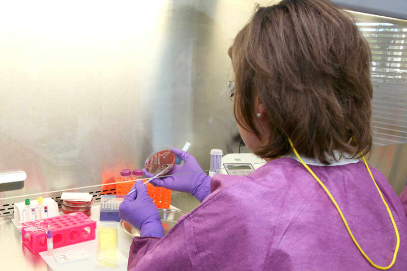 Anniston: A lab technician prepares biological materials for use in future...