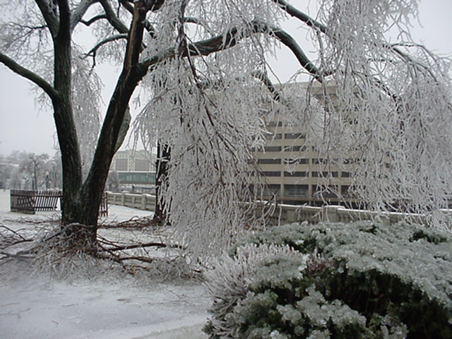 Missouri Ice Storm (DR-1403)