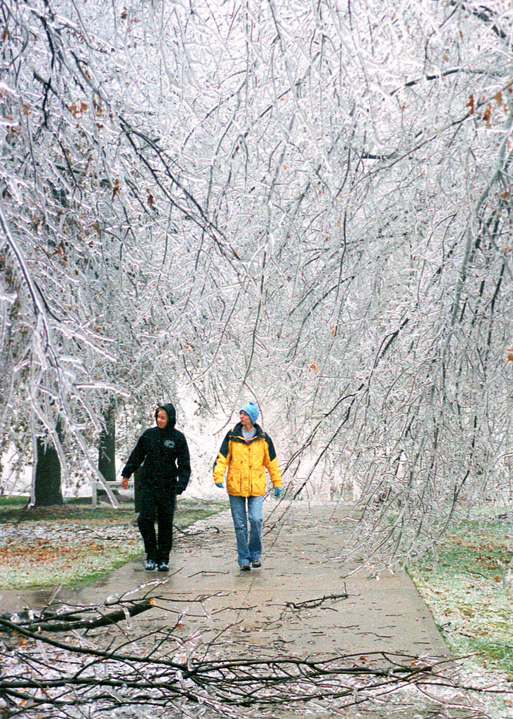 Warrensburg: Missouri Ice Storm (DR-1403)