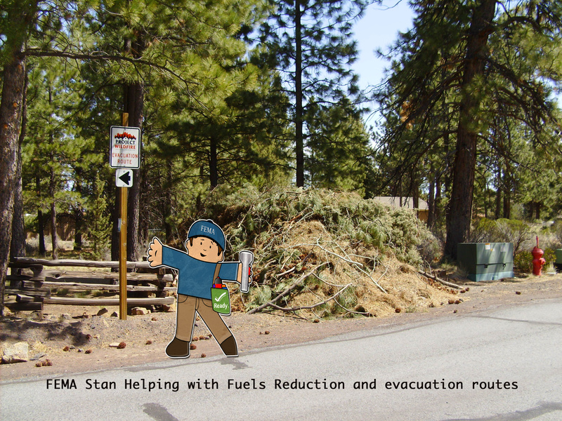 Flat Stanley helps clear potential debris which can be fuel for a wildfire....