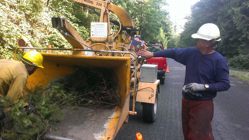Flat Stanley watches as tree debris is put through a wood chipper.   ...