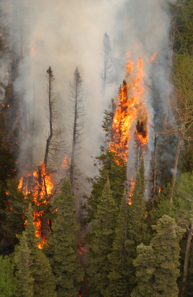 Colorado Wildfires (DR-1421)