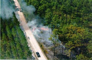 Florida Florida Extreme Fire Hazard (DR-1223)