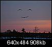 Click image for larger version

Name:	sunset.bmp
Views:	598
Size:	907.6 KB
ID:	10450
