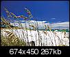 Click image for larger version

Name:	BEach-shot-ft-walton-beach-thing.jpg
Views:	626
Size:	266.5 KB
ID:	105445