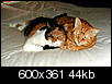 Click image for larger version

Name:	Soph&Shane on Bed spooning.jpg
Views:	1657
Size:	43.7 KB
ID:	107