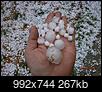 Click image for larger version

Name:	August Hail 1.JPG
Views:	350
Size:	266.6 KB
ID:	134871