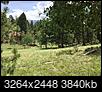 Click image for larger version

Name:	Day Trip to Divide 7-1-2015 (25).JPG
Views:	397
Size:	3.75 MB
ID:	164034