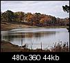 Click image for larger version

Name:	Fall Pond 3.jpg
Views:	703
Size:	43.8 KB
ID:	30606