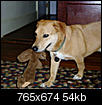 Click image for larger version

Name:	this was once a whole stuffed animal.jpg
Views:	252
Size:	54.0 KB
ID:	32550