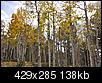 Click image for larger version

Name:	aspen2.jpg
Views:	435
Size:	137.6 KB
ID:	69126