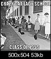 Click image for larger version

Name:	crazy cat ladies.jpg
Views:	204
Size:	52.6 KB
ID:	73179