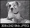 Click image for larger version

Name:	dog_petey.jpg
Views:	65
Size:	8.8 KB
ID:	75686