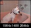 Click image for larger version

Name:	bathtub.JPG
Views:	7196
Size:	264.1 KB
ID:	86244