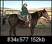 Click image for larger version

Name:	palmer_lake_horsebackriding.jpg
Views:	700
Size:	152.3 KB
ID:	9998