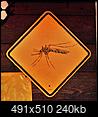 How Bad Are the Mosquitoes Near Slana in July?-alaska-2012-912a.jpg