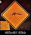 So just HOW bad are the mosquitoes-alaska-2012-912b.jpg