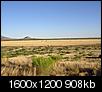 Best place in AZ for land with good temps.-land-near-elfrida-arizona.jpg