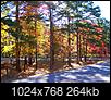 Best time to visit - Summer or Fall-fallcolors11-3-2013015_zps16c4cd2f.jpg