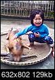 Heartrending moment five year old girl finds her missing pet dog cooked on Vietnamese food stall-2015-03-30_081347.jpg